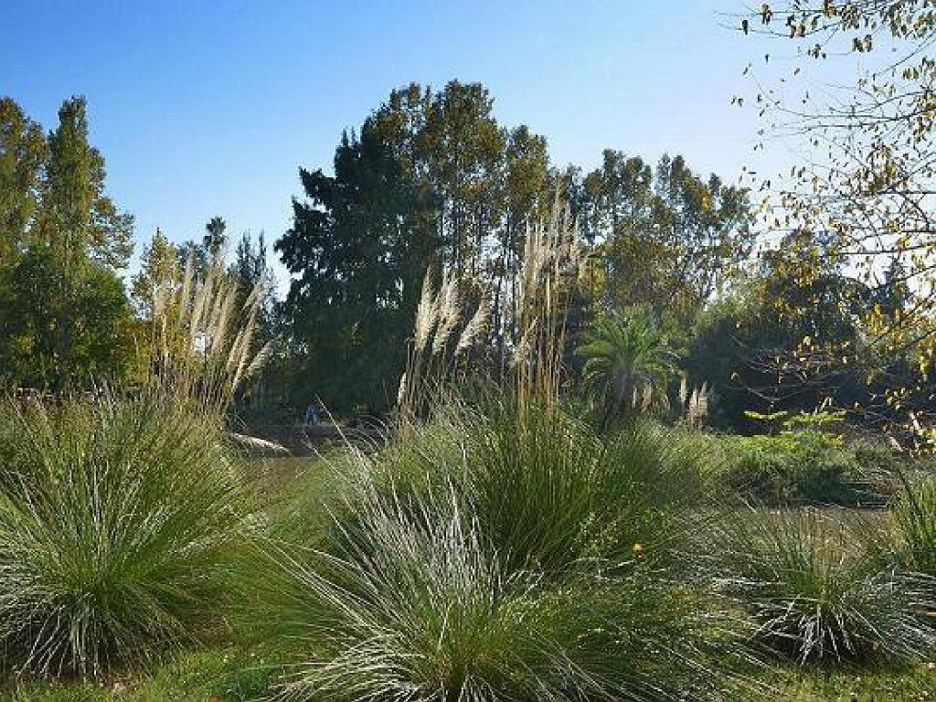 183 D35 PARC OLBIUS RIQUIER A HYERES_000024.jpg
